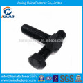 Black Oxide Grade 12.9 Hex Tap Schrauben